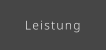 Leistung