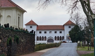 Eichenkranz Wörlitz Ansicht von Norden