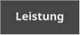 Leistung