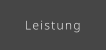 Leistung